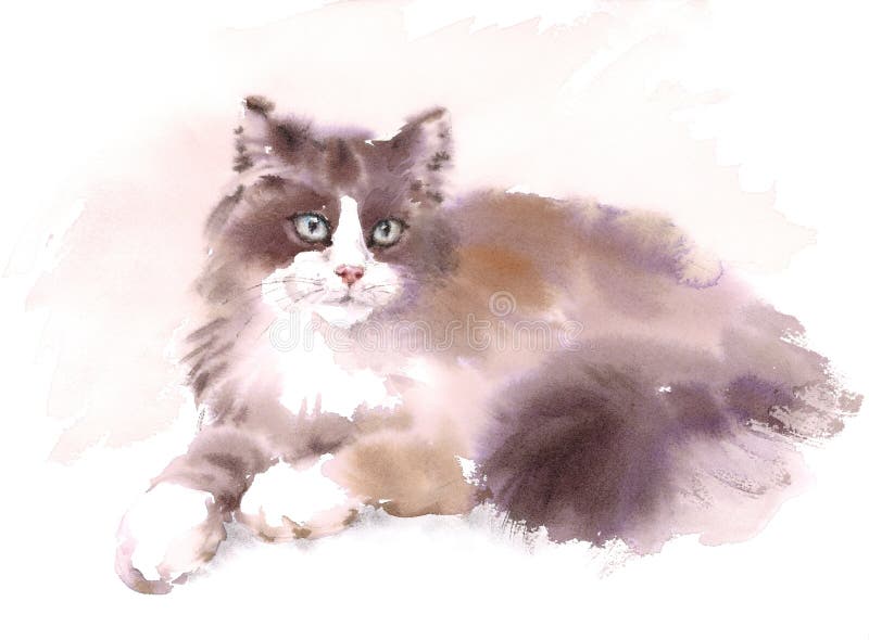  Cute Cat Laying Down  Watercolor Pet Portrait Illustration 