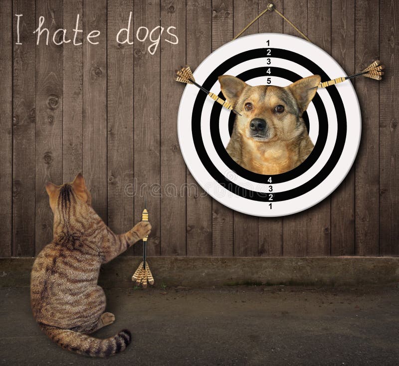 Cat Throwing a Dart Outdoor 2 Stock Photo Image of fence, creative
