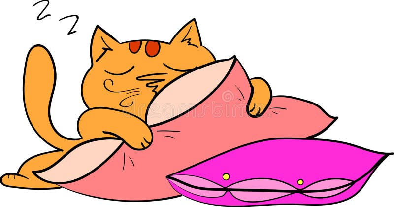 cat sleeping pillow