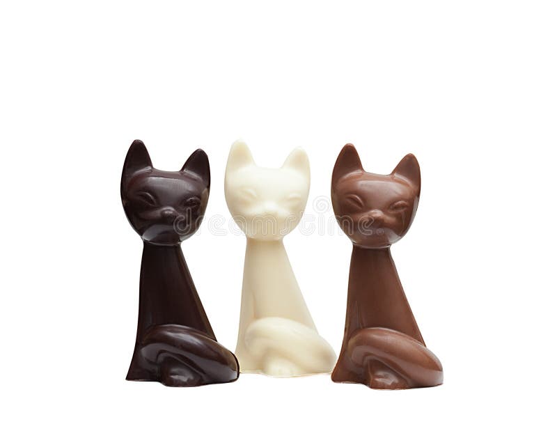 Cute Cats Made from Different Kinds of Chocolate Stock Photo Image of
