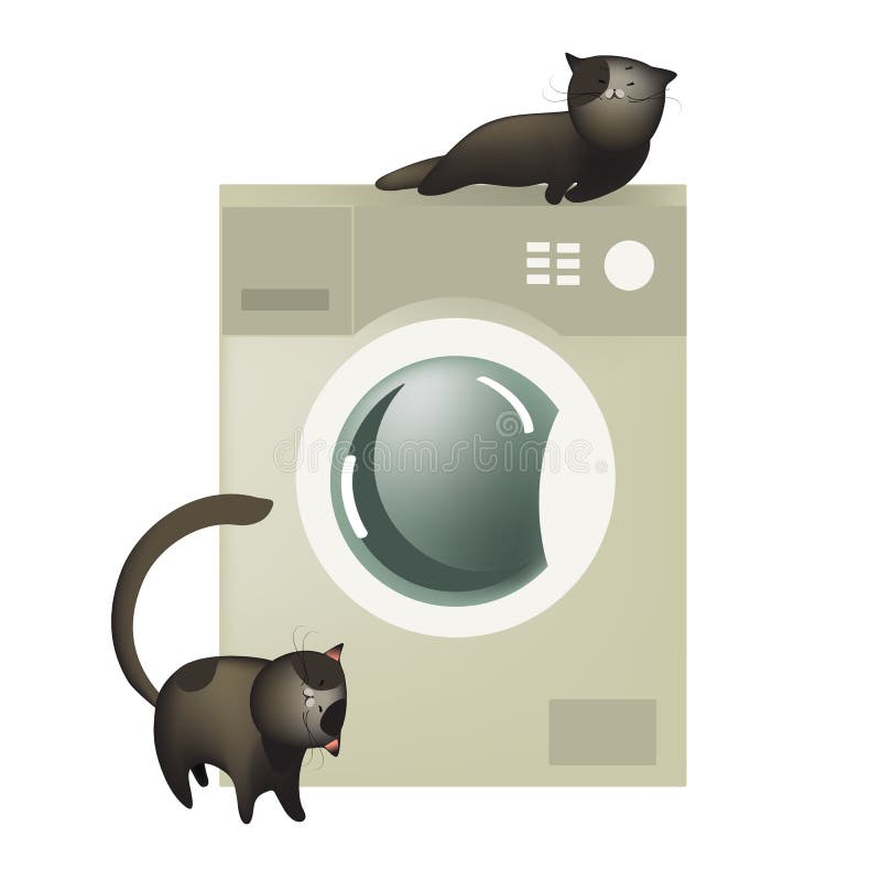 Cute cats with washing machine vector illustration