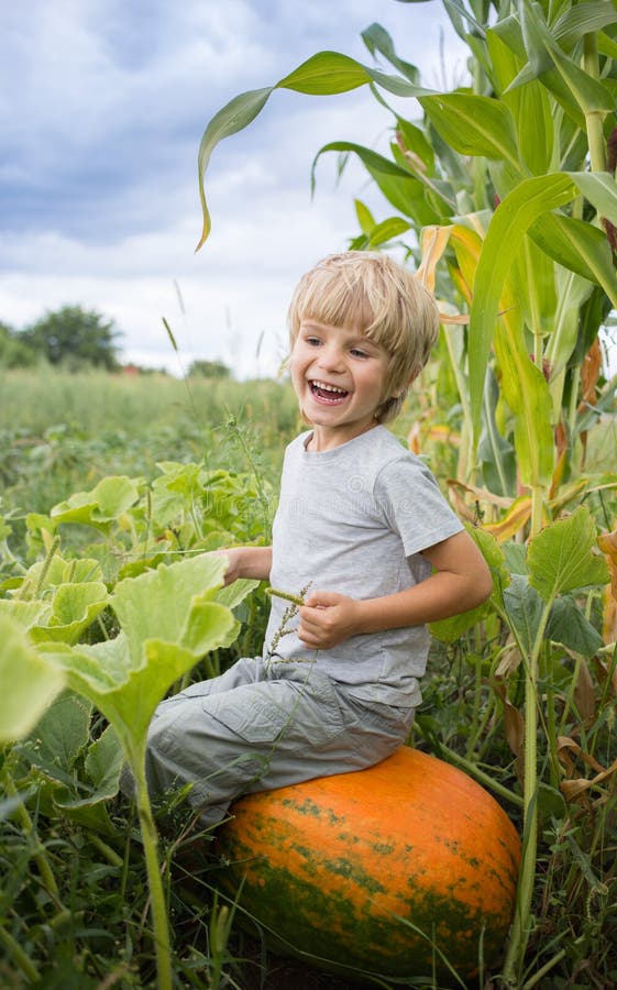 Cute cheerful boy 5 years old sits on a big orange pumpkin in the garden