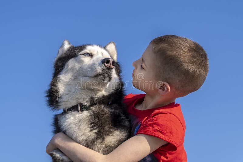 does the alaskan husky love children