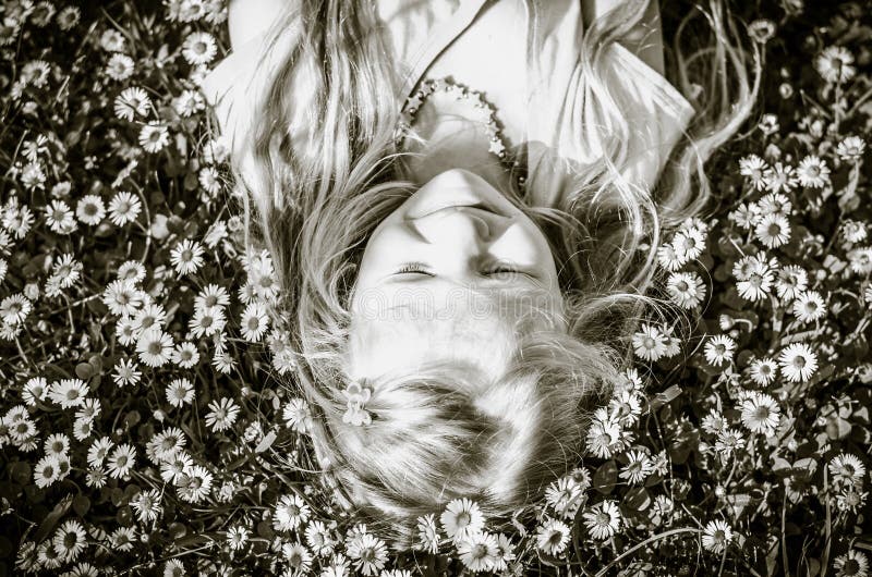 Cute Child Lying in Daisy Meadow Stock Photo - Image of caucasian ...