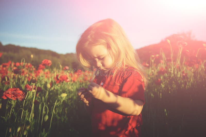 Cute child on nature background. Lovely boy son with long hair. Baby face. Kid on nature summer field. Red poppies for a