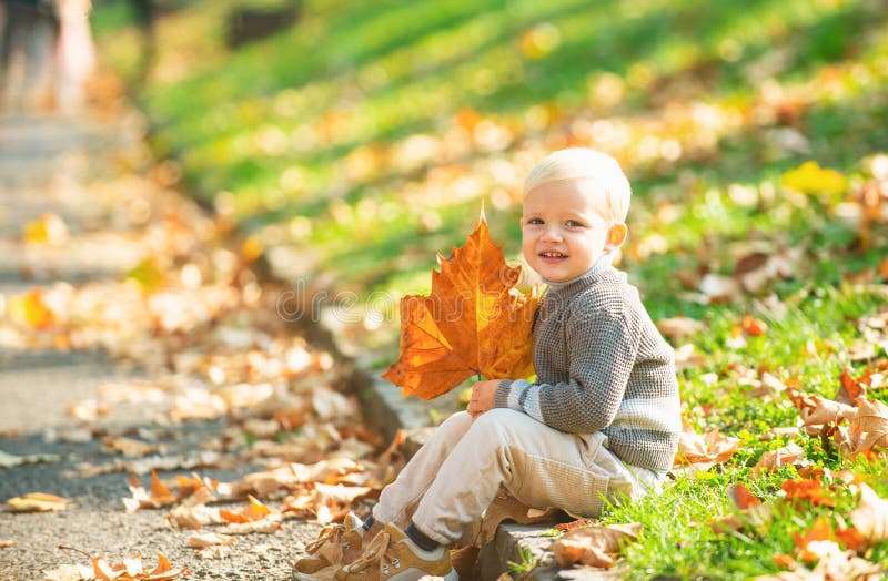Cute child playing with autumn leaves. Cute child in warm jacket sweater on the autumn nature background. Happy child royalty free stock photography