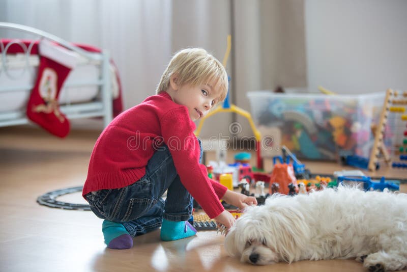 Cute child, playing with colorful toy blocks. Little boy building house of block toys sitting on the floor in sunny spacious