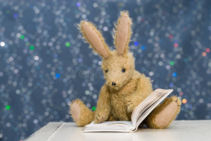 Cute child`s toy rabbit reading at storytime. stock images