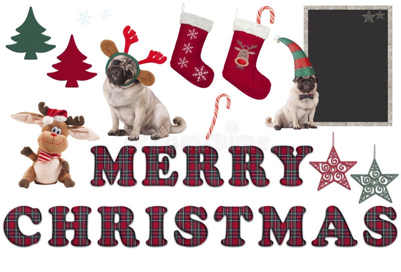 Cute Christmas elements and objects with pug dog royalty free stock images Cute Christmas elements and objects with pug dog royalty free stock images