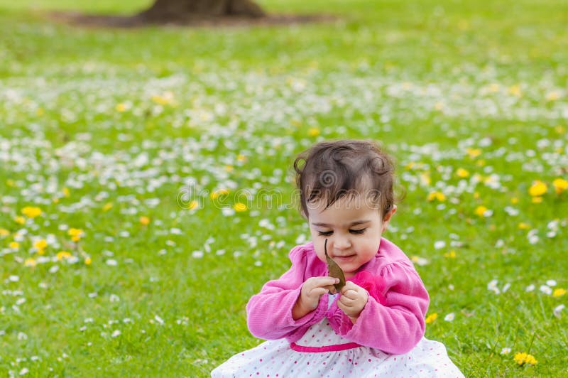 Cute chubby toddler looking at a leaf curiously exploring nature outdoors in the park stock images