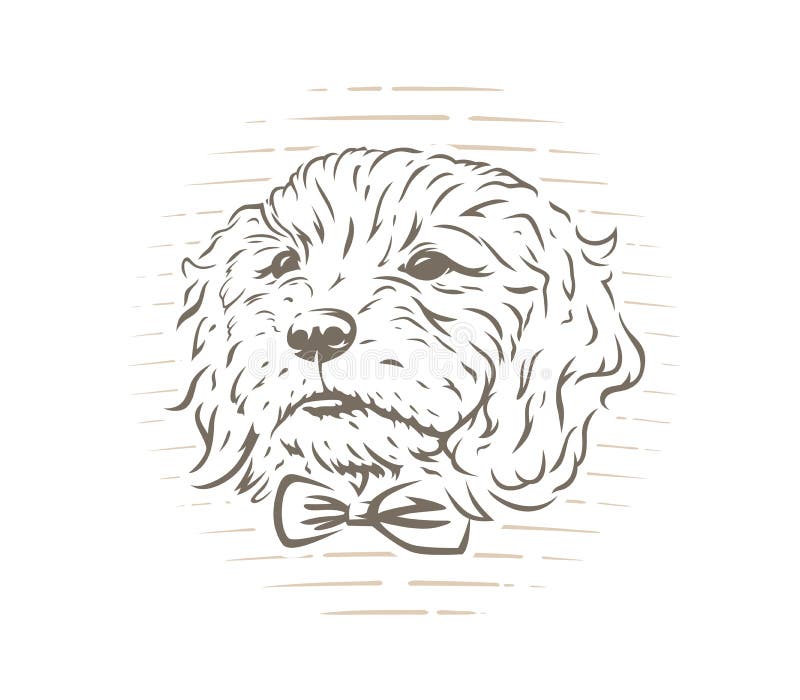 Cute Cockapoo Dog Puppy with Bow-tie Vector Illustration. Stock Vector