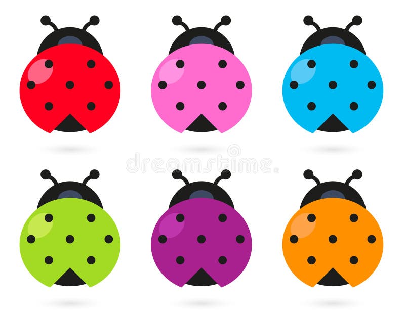 Cute colorful Ladybug set vector illustration Cute colorful Ladybug set vector illustration