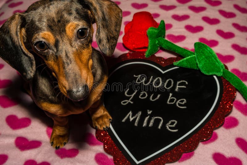 92 cm ALAZA Valentine's Day Dachshund Puppy Dog Love Heart Round Area Rug for Living Room Bedroom 3' Diameter 