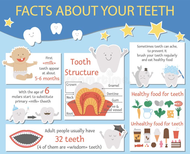 Cute Dental Care Infographics for Kids. Vector Funny Stomatology Information Poster with Cute Smiling Characters Stock Vector - Illustration of brochure, baby: 182598328 Cute Dental Care Infographics for Kids. Vector Funny Stomatology Information Poster with Cute Smiling Characters Stock Vector - Illustration of brochure, baby: 182598328