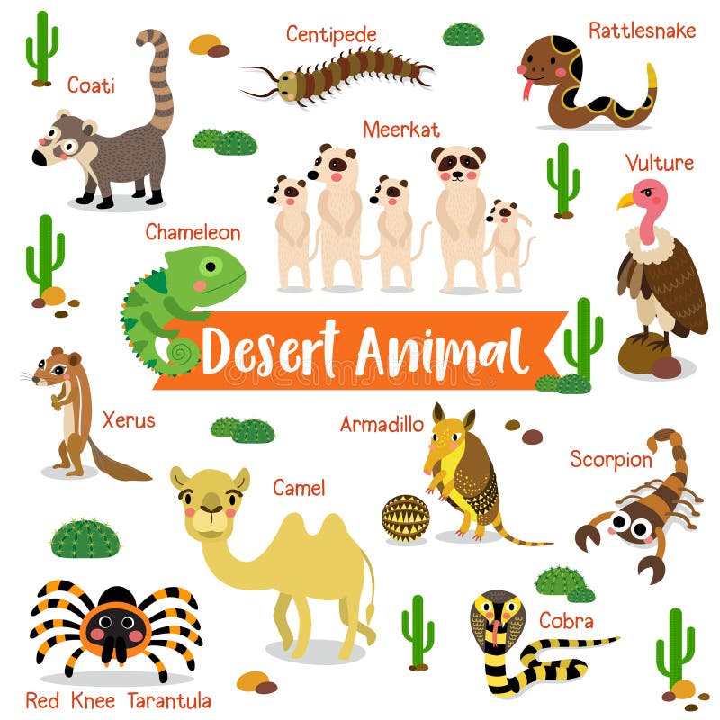 Desert Animal Cartoon on White Background with Animal Name. Vector  Illustration Stock Vector - Illustration of name, knee: 187526639
