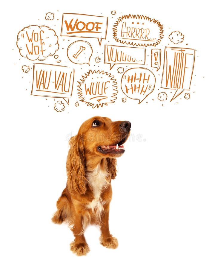 Cute Dog with Barking Bubbles Stock Image Image of breed, concept