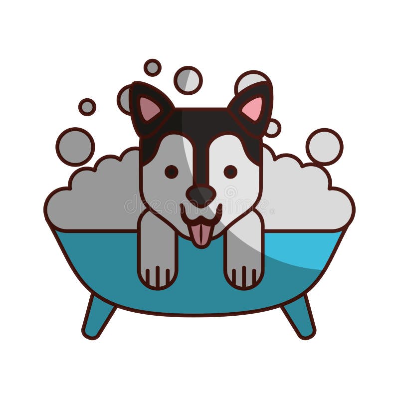 Cute Dog Bathing in the Tub Stock Vector Illustration of love