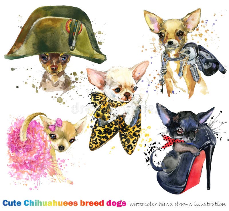 Cute dog with fashion accessories set. domestic animal watercolor illustration. royalty free illustration Cute dog with fashion accessories set. domestic animal watercolor illustration. royalty free illustration