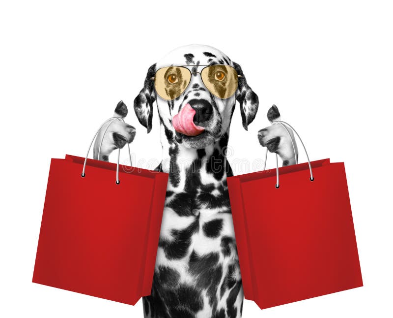 Shopping dog stock image. Image of bags, carnivore, white 1793593