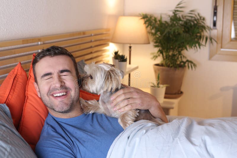 Cute dog licking owner in bed royalty free stock images