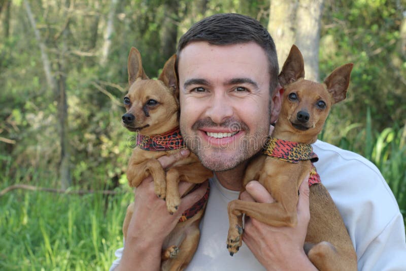 Cute dogs with his owner royalty free stock photo