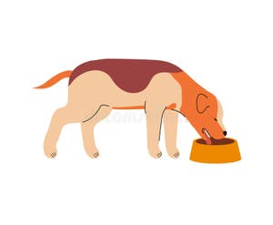 Satisfies Hunger Stock Illustrations 11 Satisfies Hunger Stock 