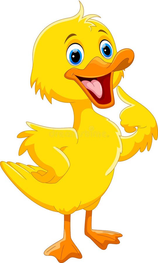 Set Cute Cartoon Ducks Characters Vector Illustration With Cartoon Funny  Animal Frame Stock Illustration - Download Image Now - iStock