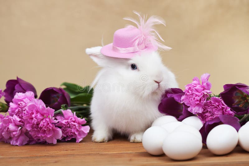 Cute easter rabbit with spring flowers and white eggs