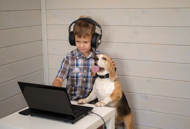 Cute European boy with headphones and Beagle dog looking at the laptop screen. the boy plays computer games, communicates with the stock photography Cute European boy with headphones and Beagle dog looking at the laptop screen. the boy plays computer games, communicates with the stock photography