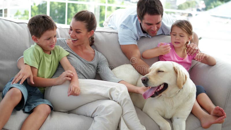 Cute family relaxing together on the couch with their dog stock footage Cute family relaxing together on the couch with their dog stock footage
