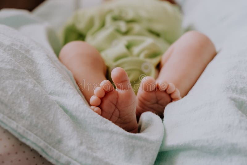 Cute feet of newborn baby. New life concept. stock photography