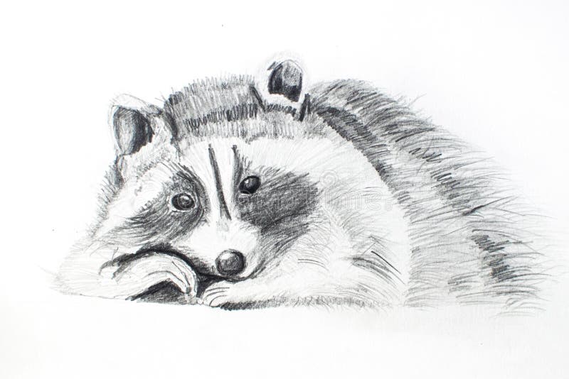 Photorealistic Pencil Drawings of Animals - REMROV'S ARTWORK-saigonsouth.com.vn