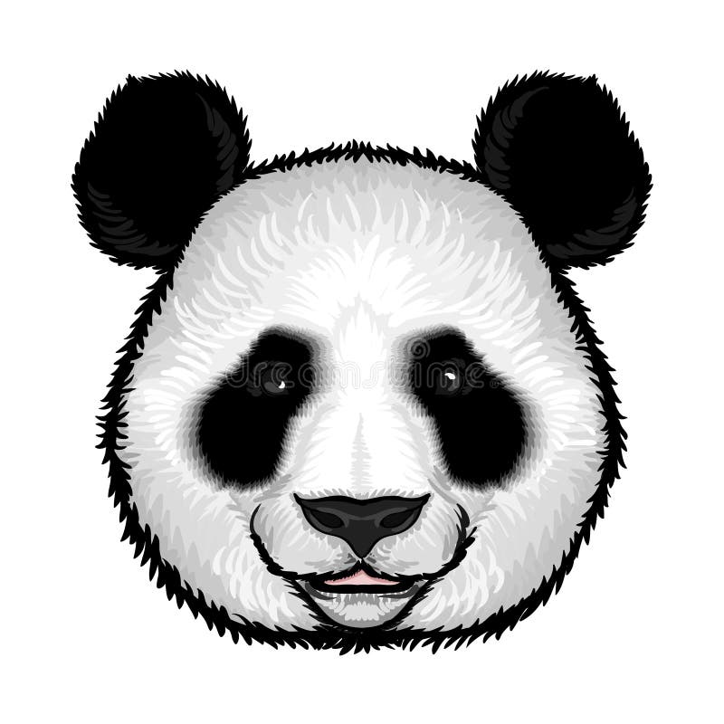 Cute Fluffy Panda Face vector illustration
