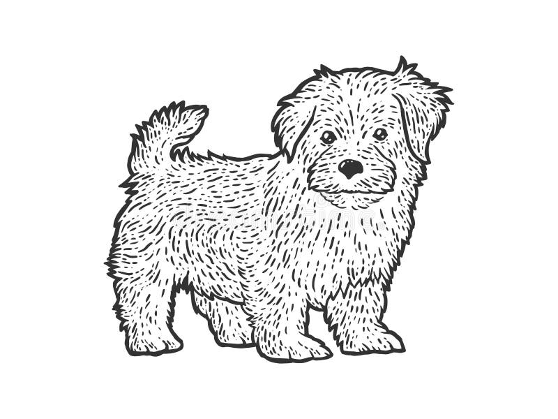 Cute and fluffy puppy. Sketch scratch board imitation. Black and white. Engraving vector illustration.