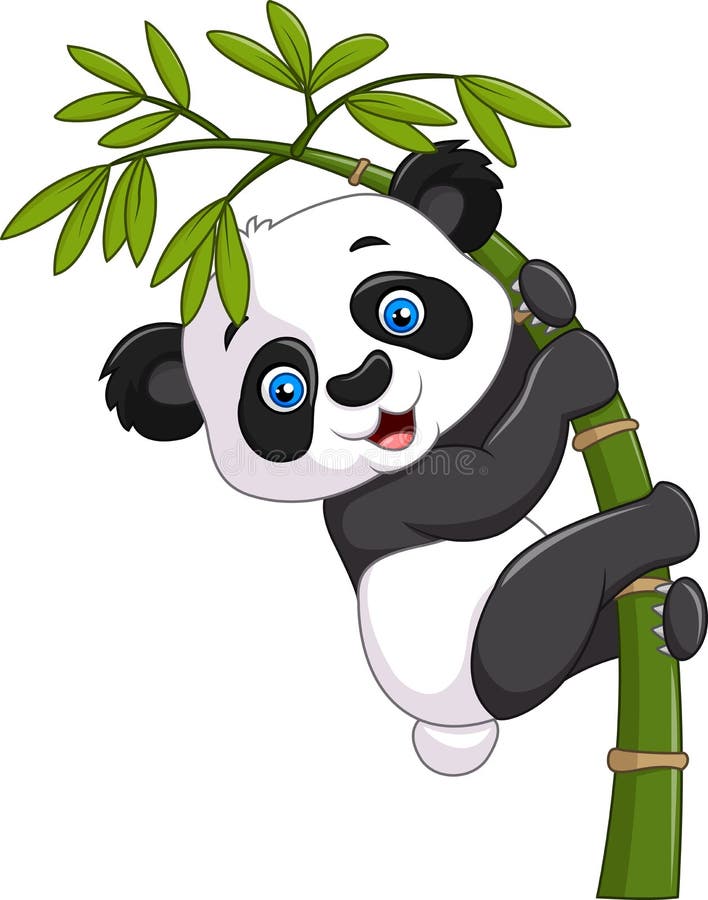 Cute Funny Baby Panda Hanging on a Bamboo Tree Stock Vector - Illustration of nature, baby: 61673710 Cute Funny Baby Panda Hanging on a Bamboo Tree Stock Vector - Illustration of nature, baby: 61673710