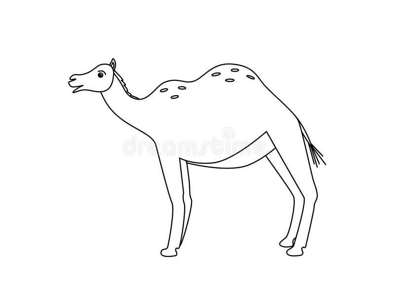 Camel Coloring Book Stock Illustrations – 277 Camel Coloring Book Stock ...