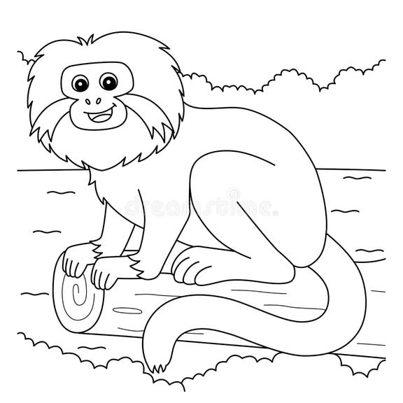 Tamarin Coloring Page Stock Illustrations – 26 Tamarin Coloring Page