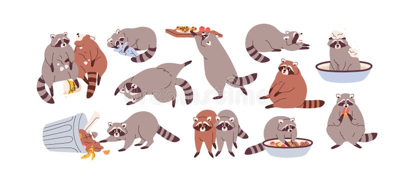 cute raccoon illustrations set. set of cute chibi raccoon icons. funny raccoon  stickers collection. Stock Illustration