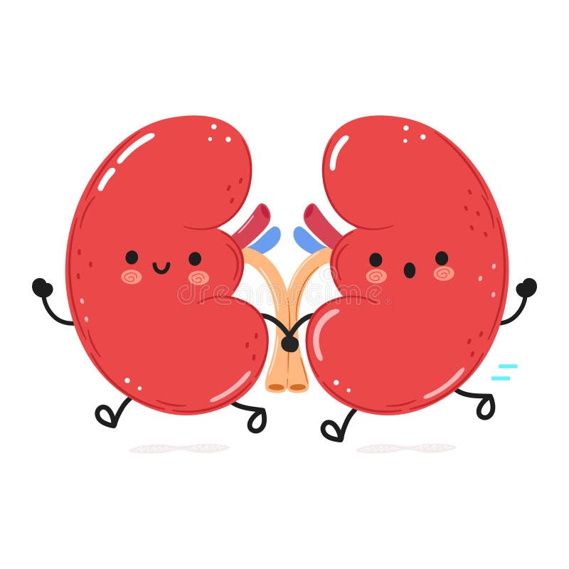 Cute Funny Running Kidneys. Vector Hand Drawn Cartoon Kawaii Character