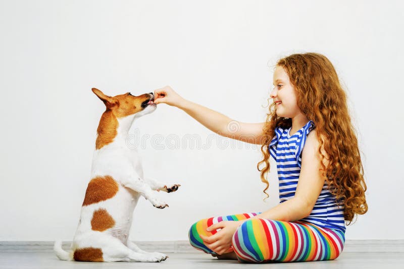 Cute girl with play his dog jack russel terrier. A little girl is training the dog jack russel terrier royalty free stock image Cute girl with play his dog jack russel terrier. A little girl is training the dog jack russel terrier royalty free stock image