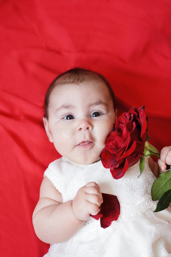 Cute girl with red rose stock image. Image of innocent 23754891