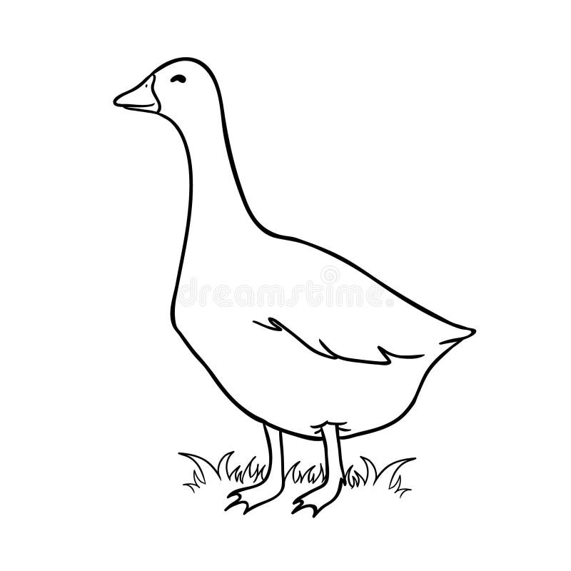 Download Coloring Goose - colouring mermaid