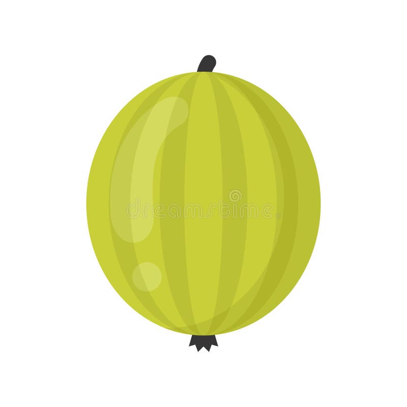 Cute gooseberry fruit, isolated colorful vector icon vector illustration