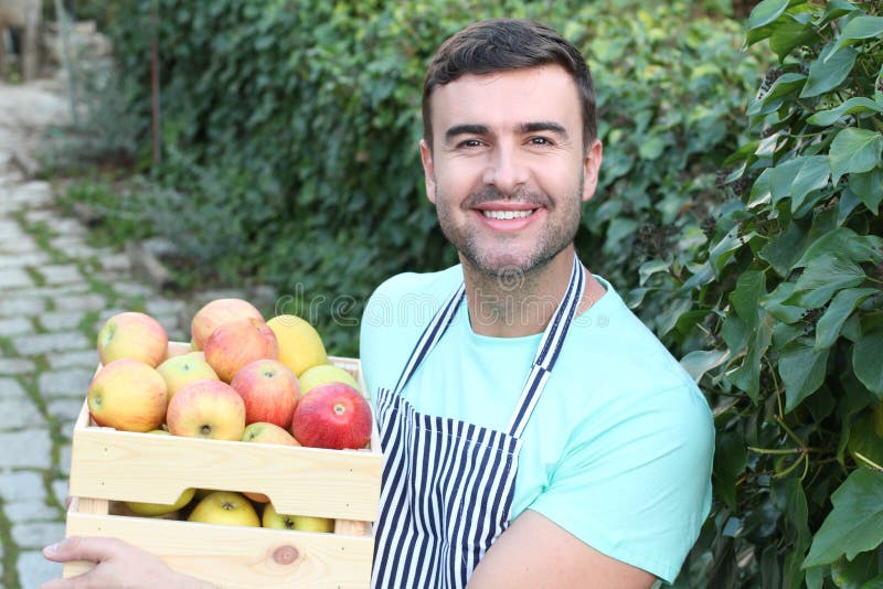 Cute greengrocer picking fresh apples royalty free stock images