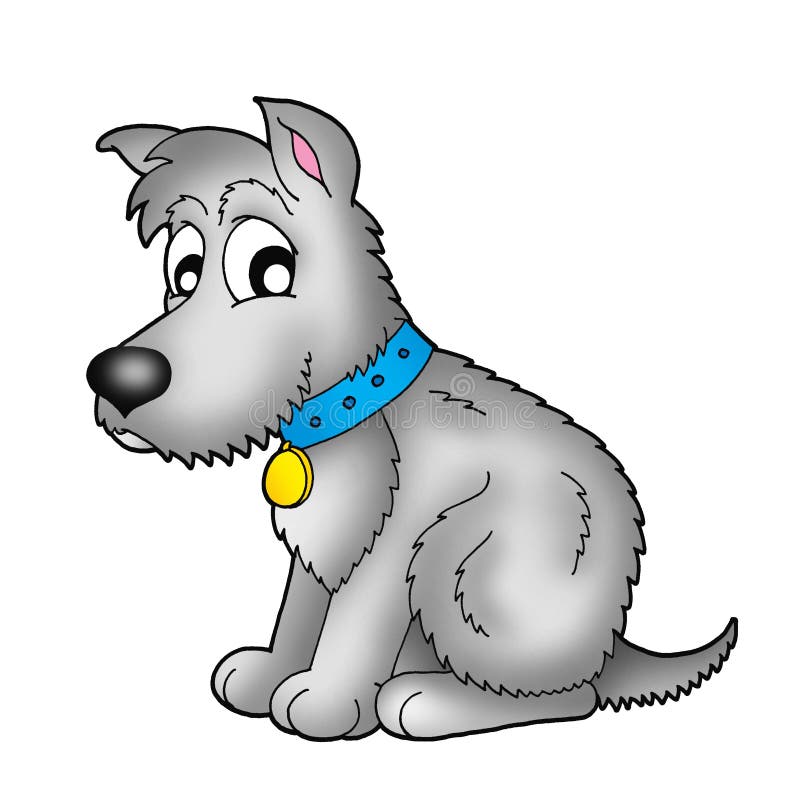 Cute grey dog