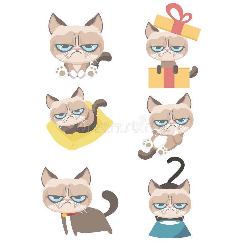 Angry cat cartoon cute grumpy Royalty Free Vector Image