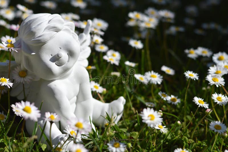 Guardian Angel and Daisy Flowers Stock Image Image of sunshine, young
