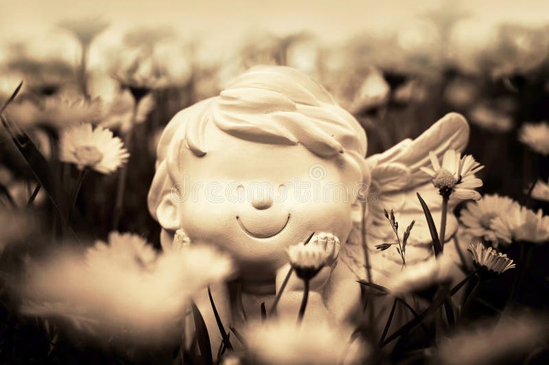 Guardian Angel and Daisy Flowers Stock Photo Image of white, nature