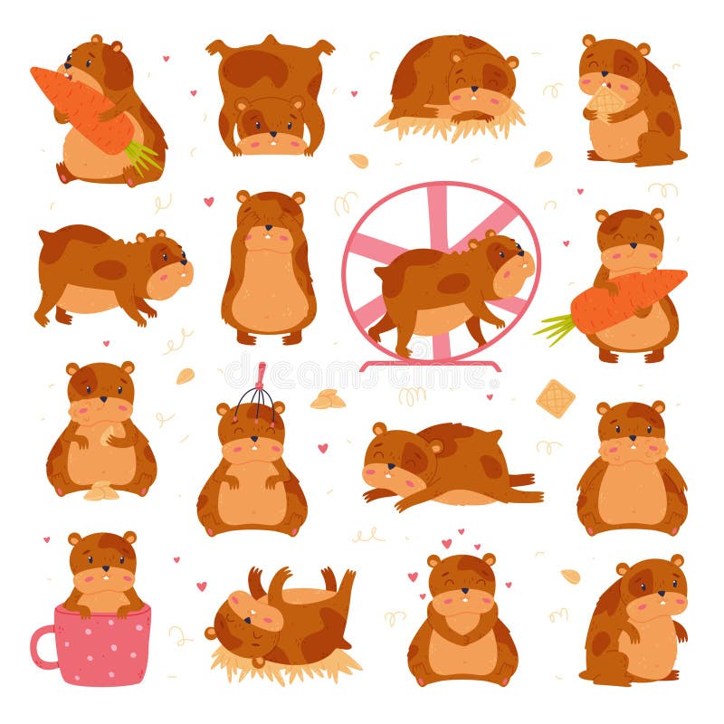 Cute hamster in everyday activities big set. Funny brown pet rodent cartoon vector illustration