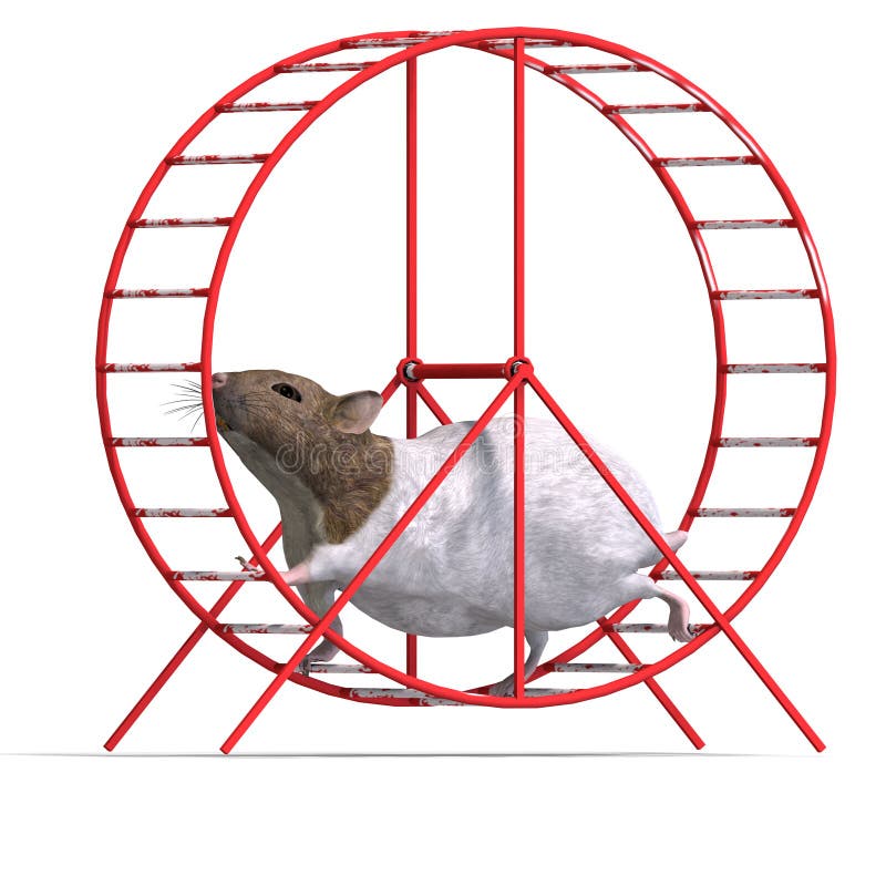 Cute hamster in a hamster wheel